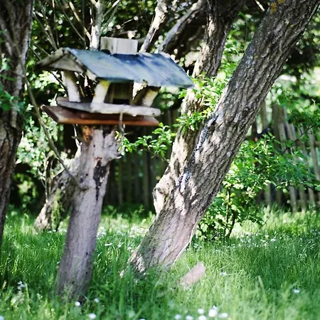 Tatil Evi Strandhaus-hoernum